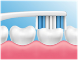 Teeth clean